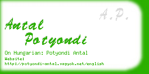 antal potyondi business card